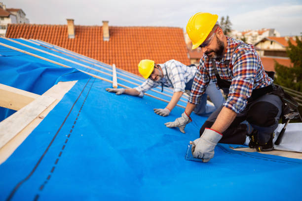 Best Roof Insulation Installation  in Hendersonville, TN