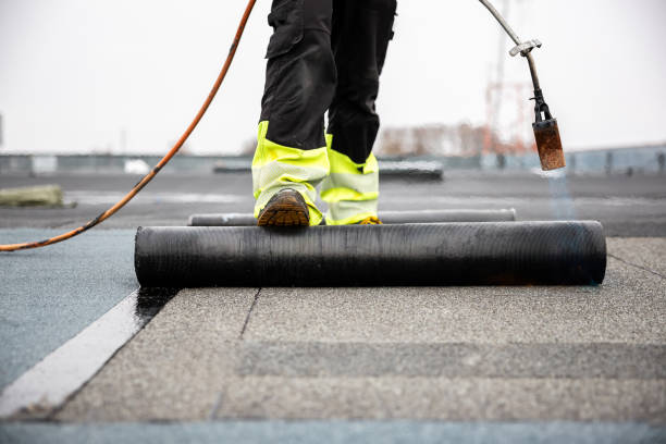 Best Roof Maintenance and Cleaning  in Hendersonville, TN