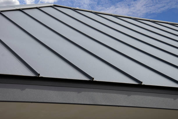 Best Skylight Installation and Repair  in Hendersonville, TN